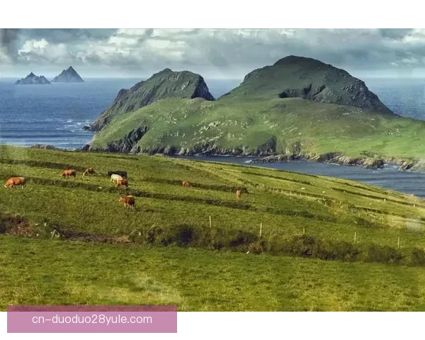 亚沙里憾失胜利向前看展望未来